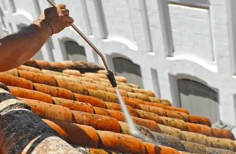 Nettoyage de toitures - Le Magny